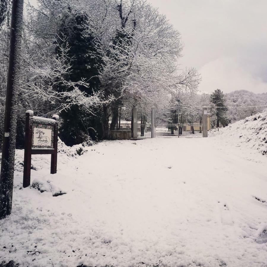 Agriturismo Acquafredda Villa Mormanno Exterior foto