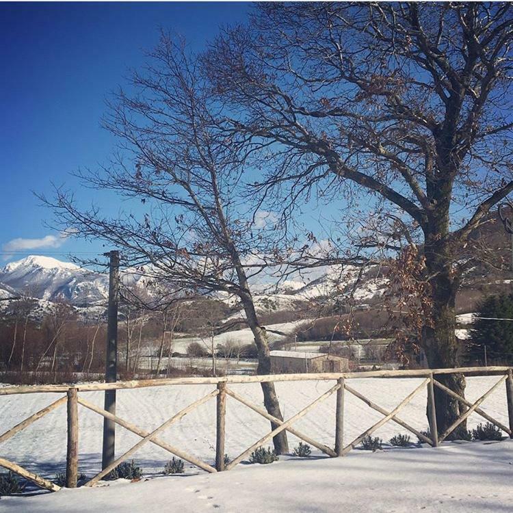 Agriturismo Acquafredda Villa Mormanno Exterior foto